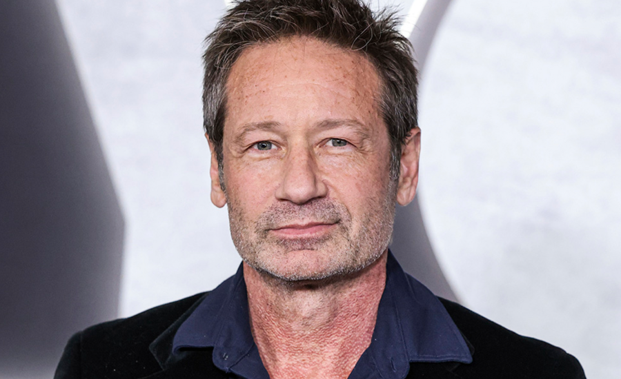 david duchovny net worth