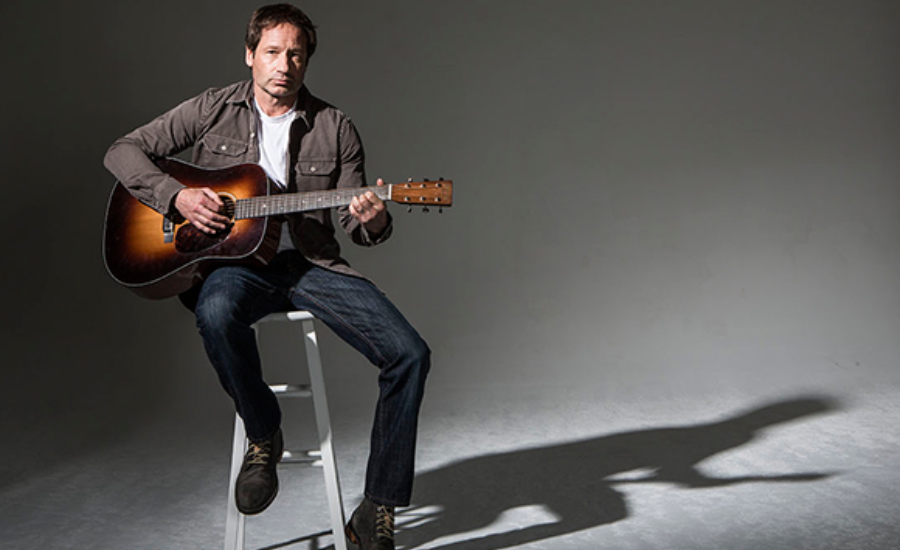 David Duchovny's Career